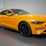 Mustang Black Accent Carbon Edition