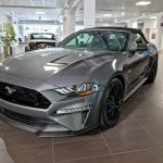 Ford Mustang GT Performance - Carbonized Gray