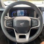 2022 Ford Bronco Wildtrak (Cactus Gray)