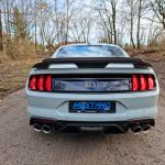 Ford Mustang Mach 1 (Fighter Jet Gray)