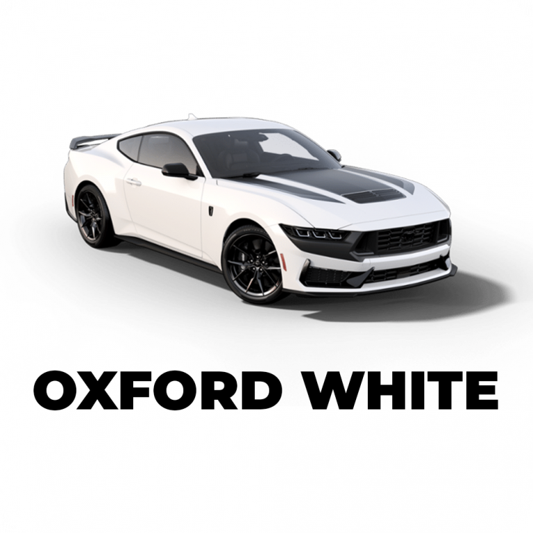 Anfrage Mustang GT 2024 » MUSTANG 302 GmbH