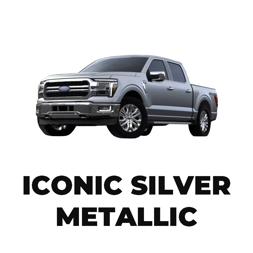Iconic Silver Metallic