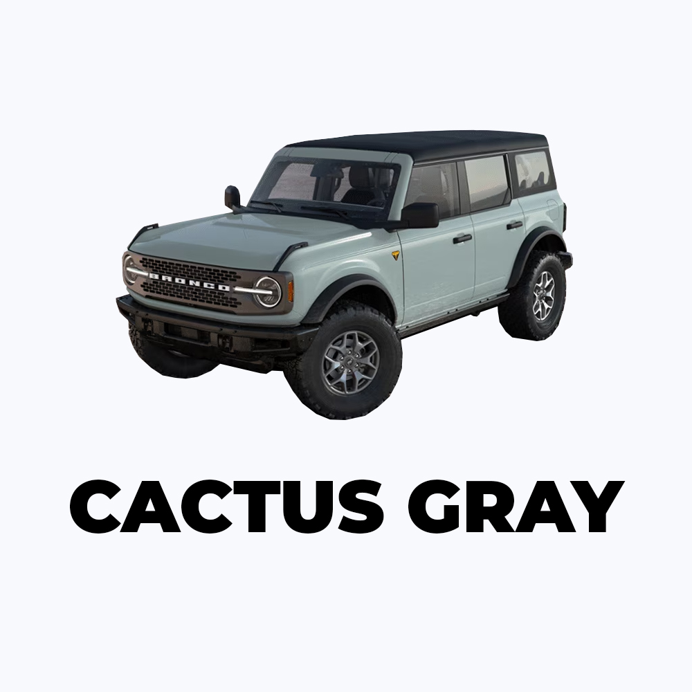Bronco Cactus Gray