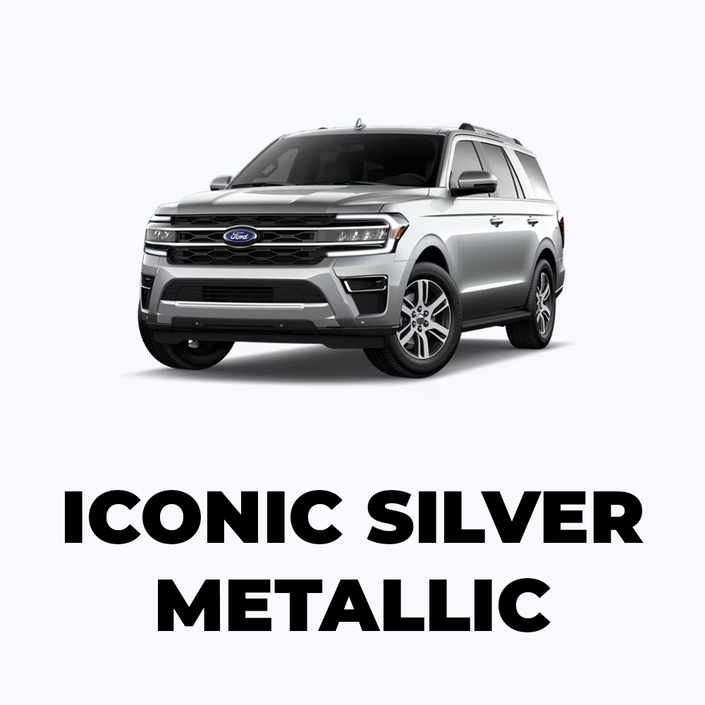Exp Iconic Silver Metallic