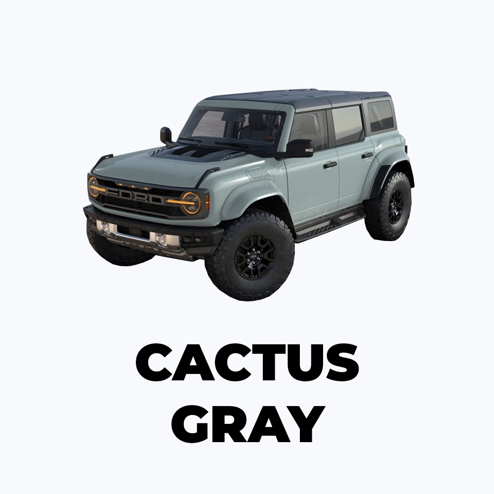 Raptor Cactus Gray