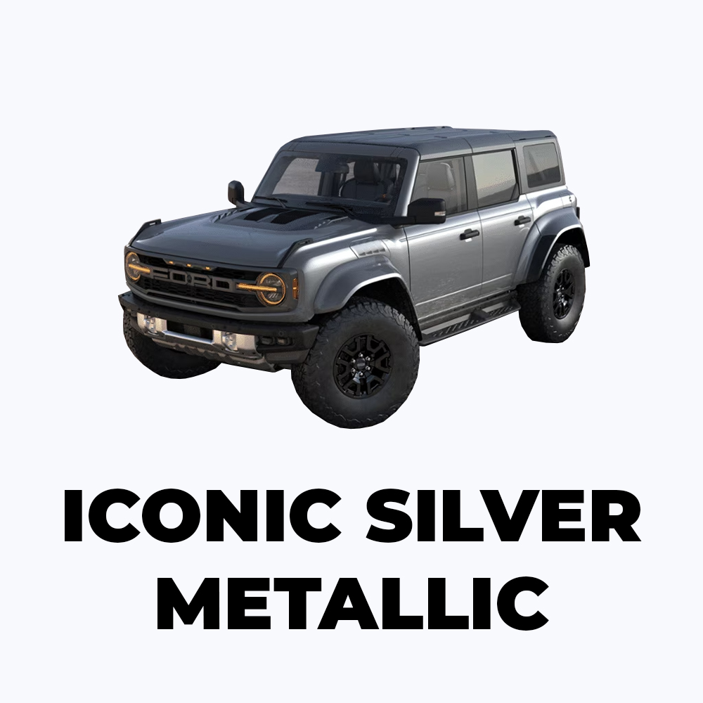 Raptor Iconic Silver Metallic
