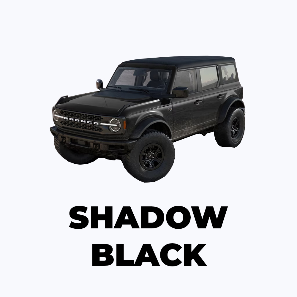 Shadow Black 1