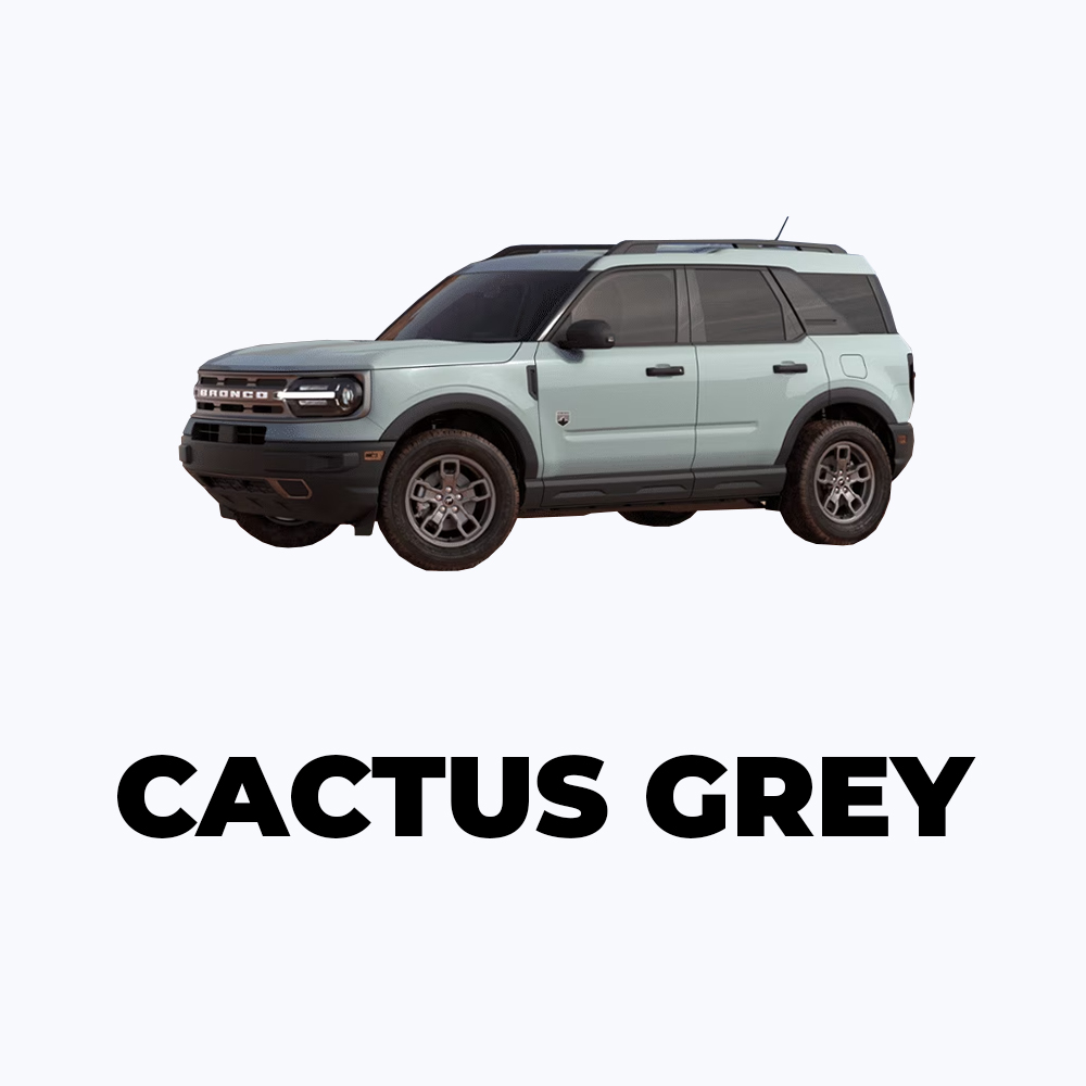Sport Cactus Grey