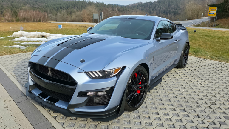 shelby-gt500-heritage-kaufen Kopie