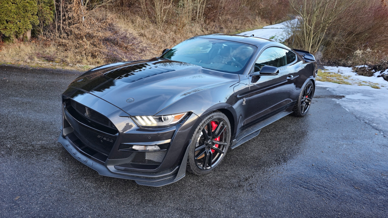 shelby-gt500-heritage-kaufen Kopie