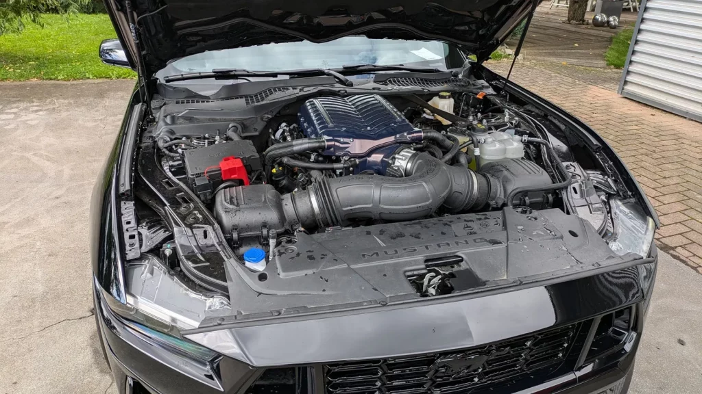 PXL_20240724_084647187