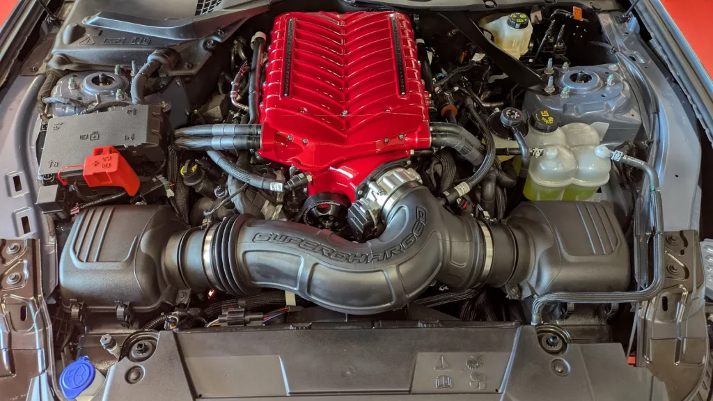 PXL_20250208_114829488