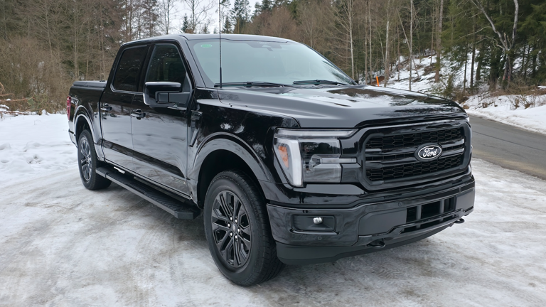 F-150 Schwarz Thumbnail